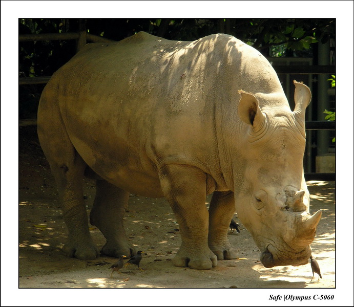 2005 - 06 - Zoo 021.JPG